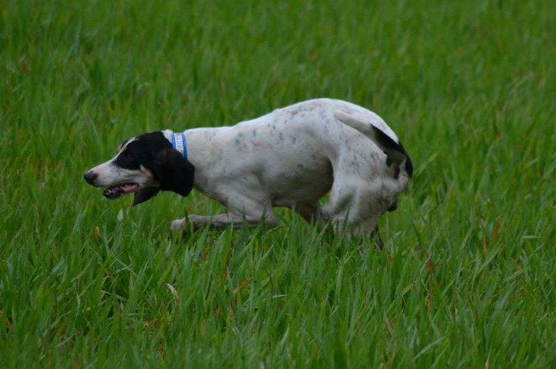 CH. de l'Equipage val de Boeme General de l equipage val de boeme